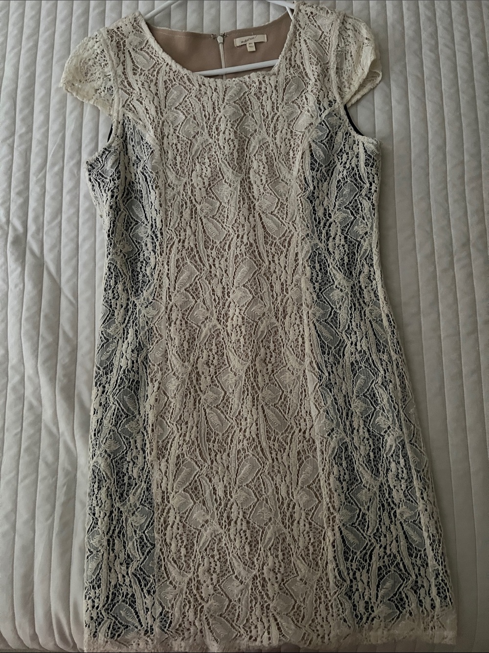 Lace Overlay Black and White Dress